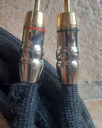 Cavi rca sinfoni