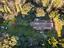Immagine 12