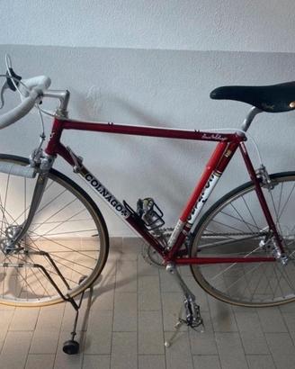 Colnago Mexico Saronni
