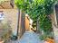 Immagine 17