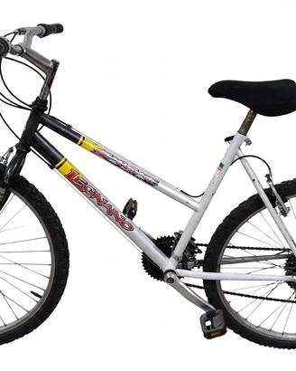 Legnano Stargate MTB ruote 26