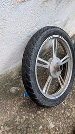 ruota anteriore vitale 