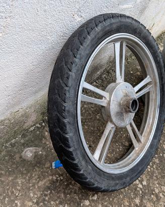 ruota anteriore vitale 