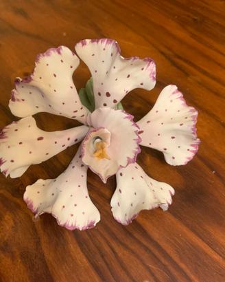 Orchidea di porcellana Capodimonte