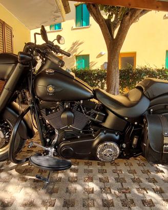 Harley-Davidson Fat Boy Special 2012  H-D Paradise