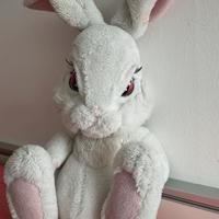 Coniglio Interattivo