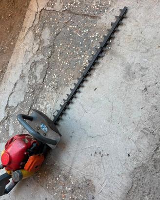 Tagliasiepe a scoppio usato