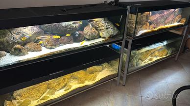 Acquario 300 litri