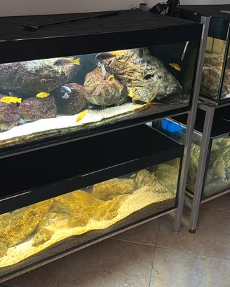 Acquario 300 litri