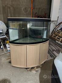 Acquario askoll tenerif