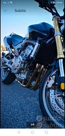 Hornet 2006 