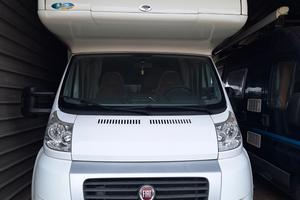 Arca 716 glt