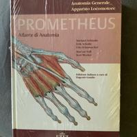 Atlante di anatomia Prometheus