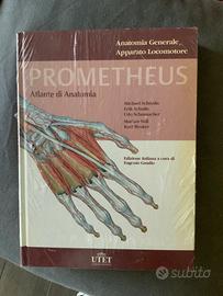 Atlante di anatomia Prometheus
