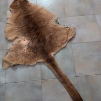 tappeto in pelle di canguro 