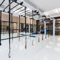 palestra queenax trx