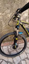 Bici MTB