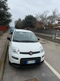 Fiat Panda Hybrid 2023