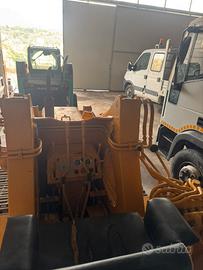 Ruspa cingolata MF200B