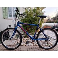 mtb Atala custom