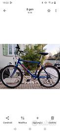 mtb Atala custom