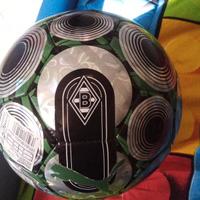 pallone da calcio 