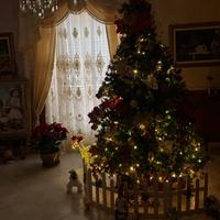 Albero di Natale
