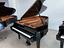 Immagine 3