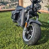 Altro Altro modello - 2021