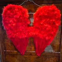 Carnevale  - Ali vera piuma rosse