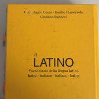 Dizionario IL LATINO USATO IN BUONE CONDIZIONI