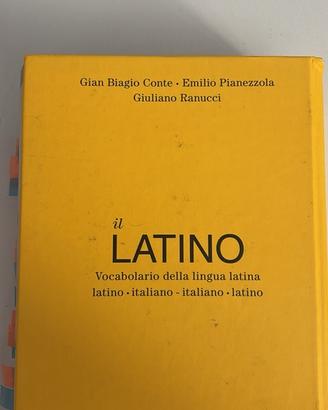 Dizionario IL LATINO USATO IN BUONE CONDIZIONI