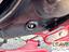Immagine 17