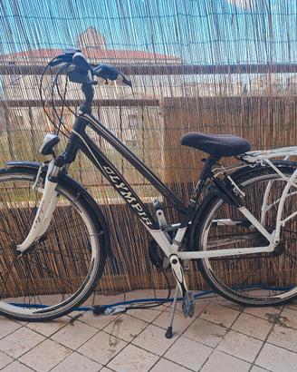 Bicicletta da città donna