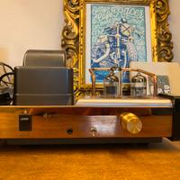 Amplificatore valvolare Dared