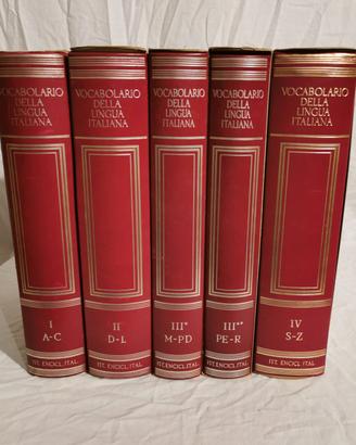 Dizionario Treccani 5 volumi
