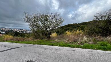 Terreno a prezzo simbolico