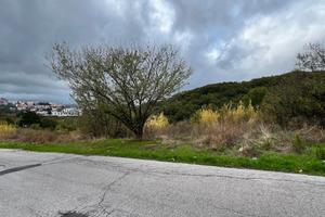 Terreno a prezzo simbolico