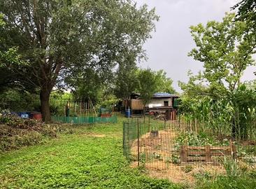 Terreno orto 500 mq Settimo Torinese