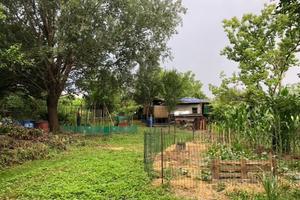 Terreno orto 500 mq Settimo Torinese