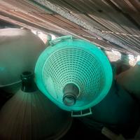 Damigiane in vetro con cestello in plastica