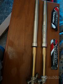 forcelle paioli pit bike