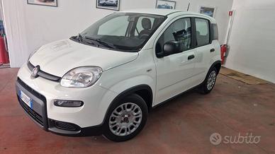 NOLEGGIO Fiat Panda 1.0 FireFly S&S Hybrid NOLEGGI