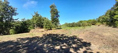 Terreno Residenziale Canale Monterano [TE80VRG]