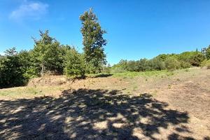 Terreno Residenziale Canale Monterano [TE80VRG]