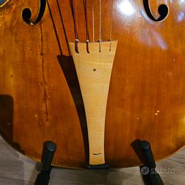 violoncello