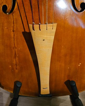 violoncello