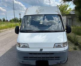 FIAT Ducato Trasporto Disabili ducato maxi