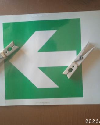 Materiale ferroviario FS, RFI, Trenitalia, Tregufy
