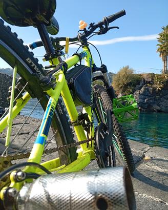 bici  rokride gialla nuova